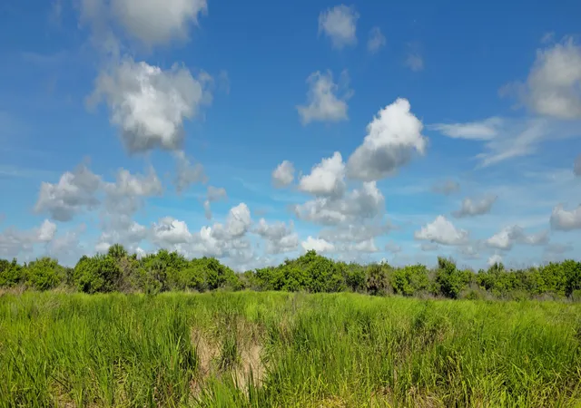 Photo 4 of House for sale at Tbd 13th Street SW, Vero Beach, FL 32968 | MLS# B26044442 | Listing updated on 2026-09-02
