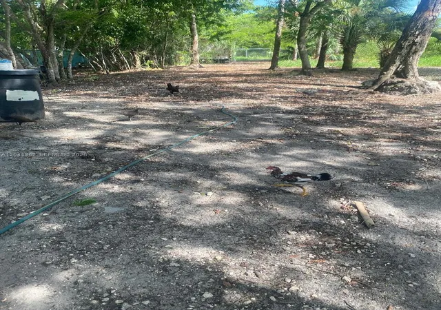 3rd image of 23625 Sw 125 Ave, Homestead, FL 33032 | MLS# A12041362