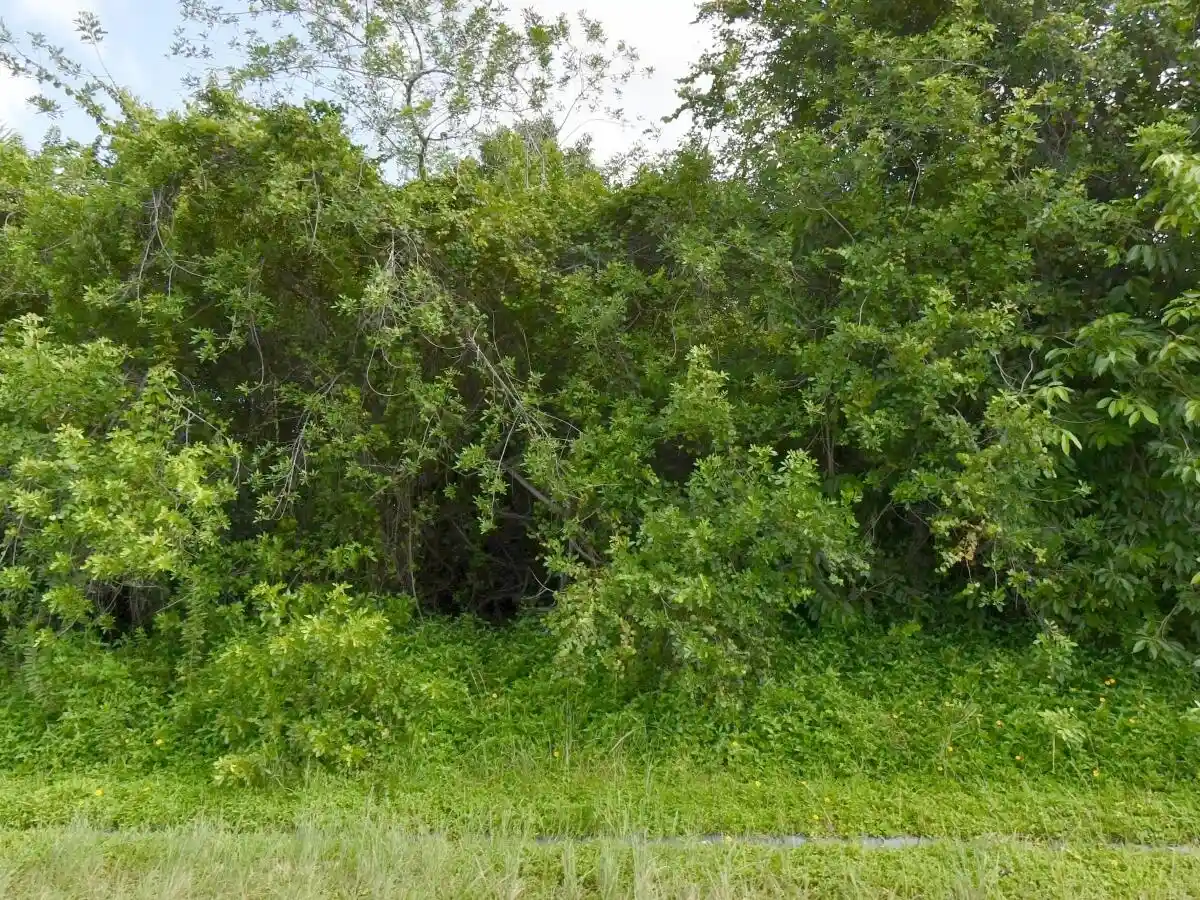 Photo 1 of Land for sale at 1081 Sw Dartmouth Ave, Port Saint Lucie, FL 34953 | MLS# B26045393 | Listing updated on 2026-10-09
