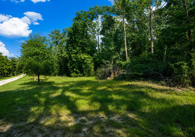 Homes for sale in Wellborn, FL | 6600 150Th Pl, Wellborn, FL 32094 | MLS# B26045611