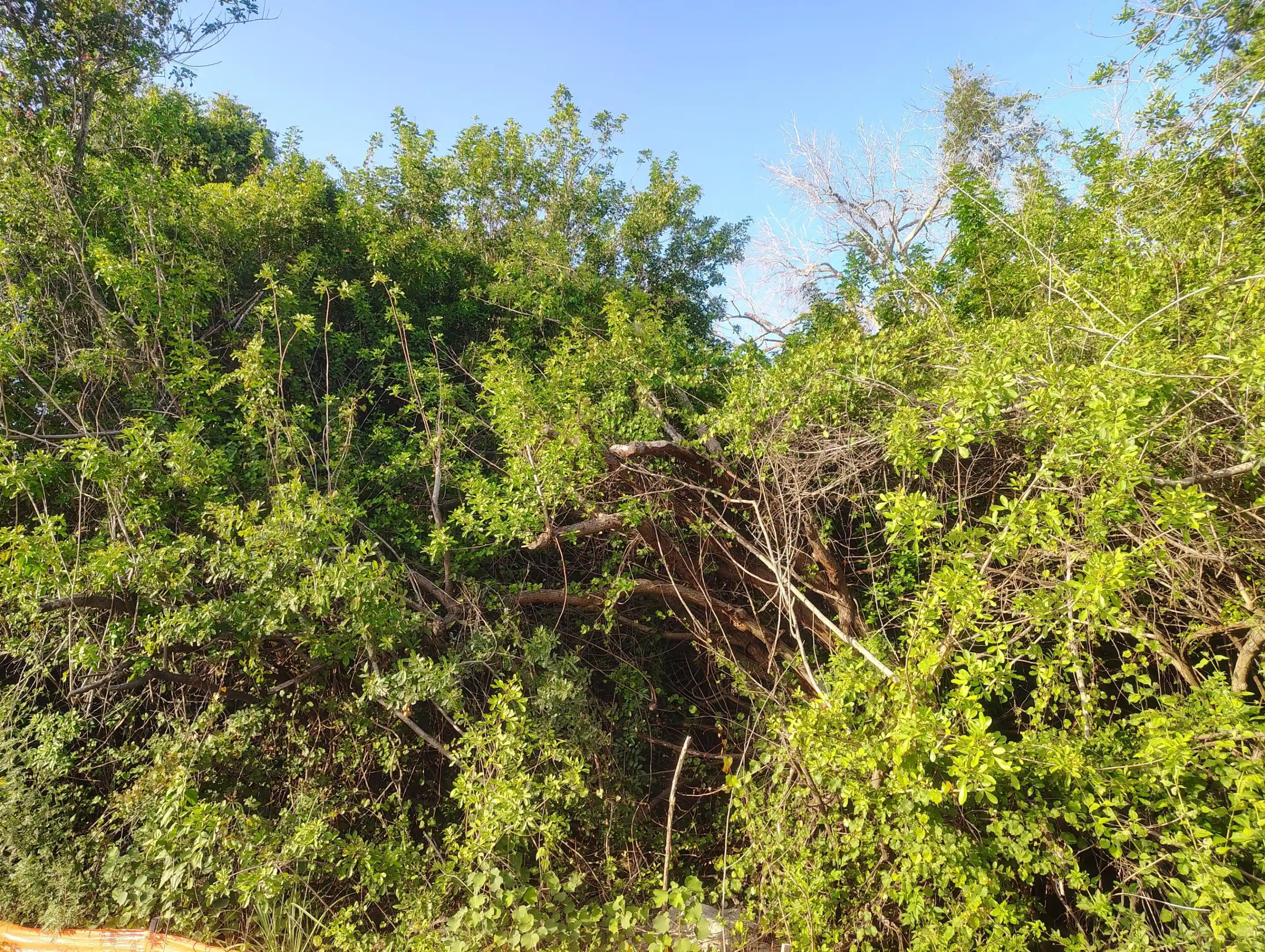 Photo 1 of Land for sale at 3931 Sw Port St Lucie Blvd, Port Saint Lucie, FL 34953 | MLS# B26046465 | Listing updated on 2026-09-02