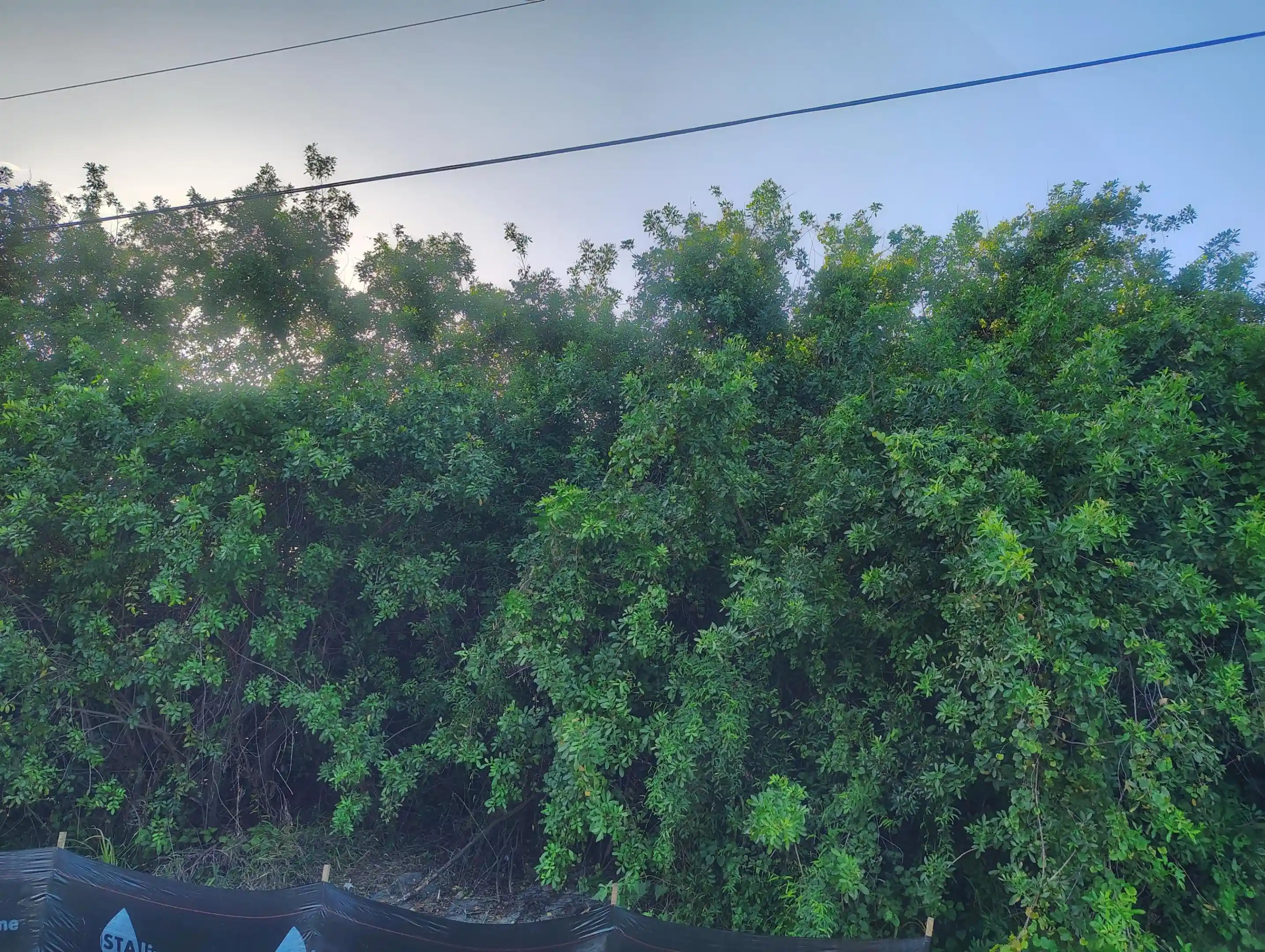 Photo 1 of Land for sale at 3921 Sw Port Saint Lucie Blvd, Port St Lucie, FL 34953 | MLS# B26046485 | Listing updated on 2026-09-02