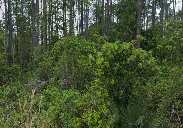 Homes for sale in Georgetown, FL | 00 Glenside St, Georgetown, FL 32139 | MLS# B26047689