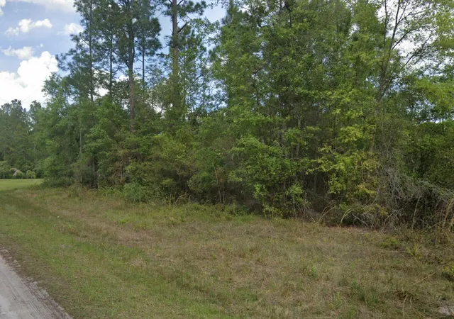 Homes for sale in Georgetown, FL | 103 Glenside St, Georgetown, FL 32139 | MLS# B26047688
