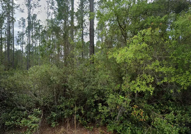 Homes for sale in Georgetown, FL | 105 Glenside St, Georgetown, FL 32139 | MLS# B26047687