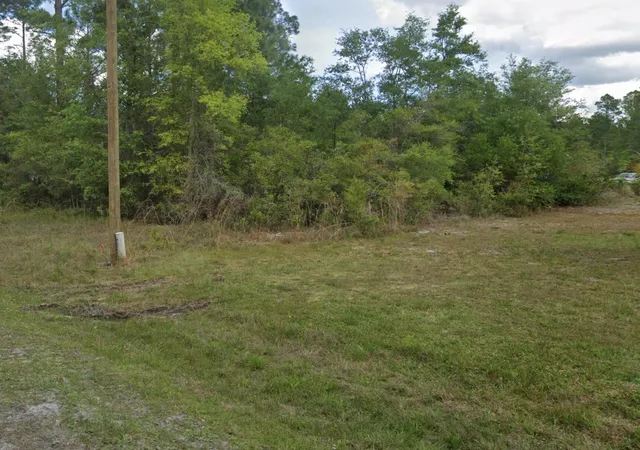 Homes for sale in Georgetown, FL | 000 Roebuck St, Georgetown, FL 32139 | MLS# B26047690