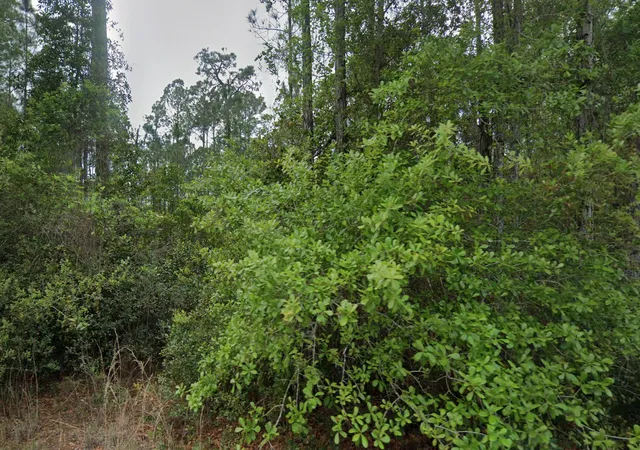 Homes for sale in Georgetown, FL | 107 Glenside St, Georgetown, FL 32139 | MLS# B26047684