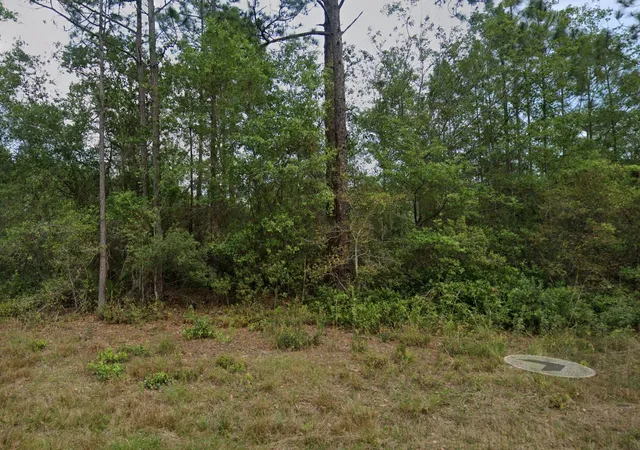 Homes for sale in Georgetown, FL | 124 Roebuck St, Georgetown, FL 32139 | MLS# B26047691