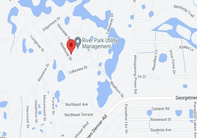 Homes for sale in Georgetown, FL | 124 Roebuck St, Georgetown, FL 32139 | MLS# B26047691