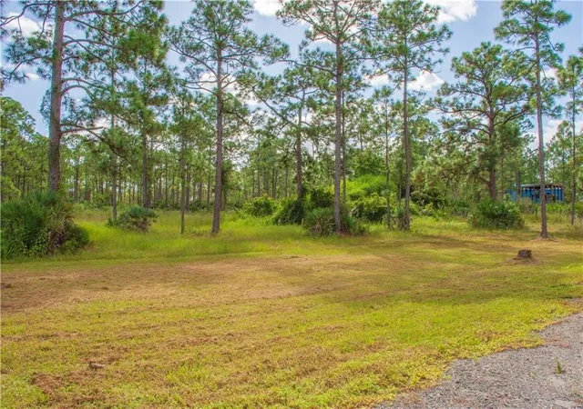 Photo 31 of Land for sale at 13955 87th Street, Fellsmere, FL 32948 | MLS# B26049022 | Listing updated on 2026-10-02