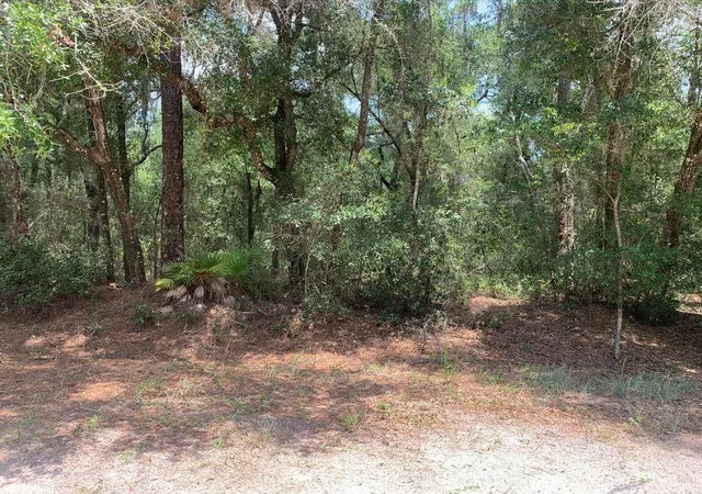 Homes for sale in Satsuma, FL | 112 New Jersey St, Satsuma, FL 32189 | MLS# B26050852