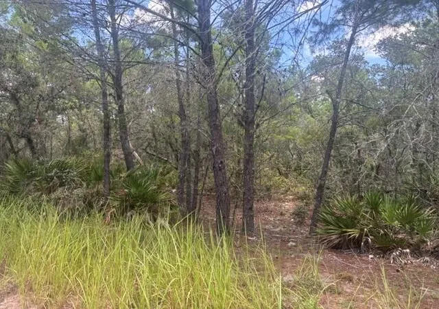 Land for sale at 0 US Hwy 27, Lake Wales, FL 33859 | MLS# B26053584