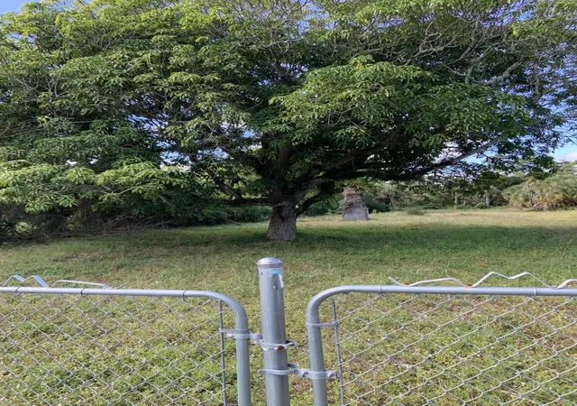 Photo 1 of Land for sale at 1099 N Haverhill Rd, West Palm Beach, FL 33417 | MLS# B26054157 | Listing updated on 2026-09-23