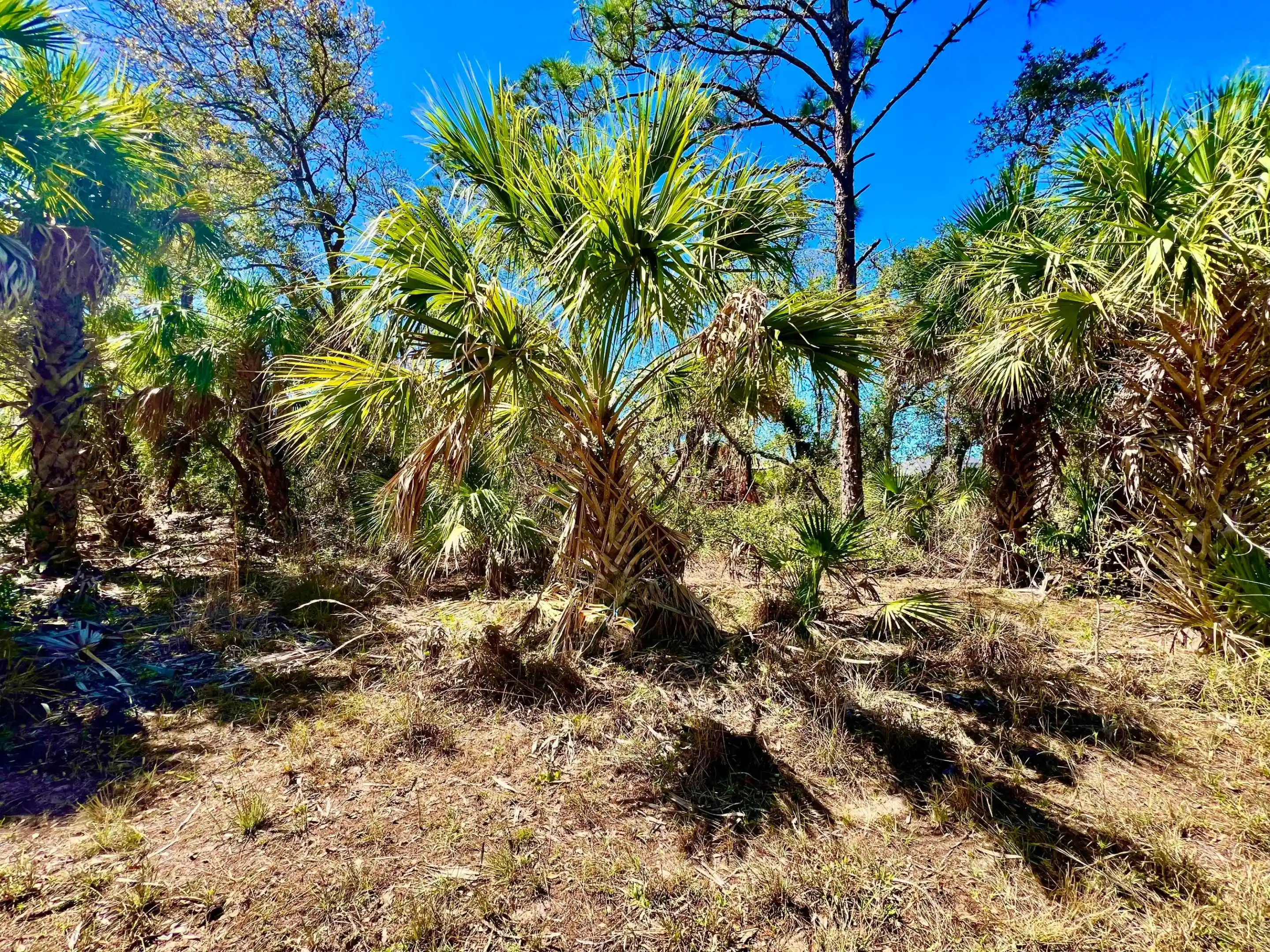 Photo 1 of Land for sale at 441 Juper St, Port Charlotte, FL 33953 | MLS# B26055747 | Listing updated on 2026-10-10