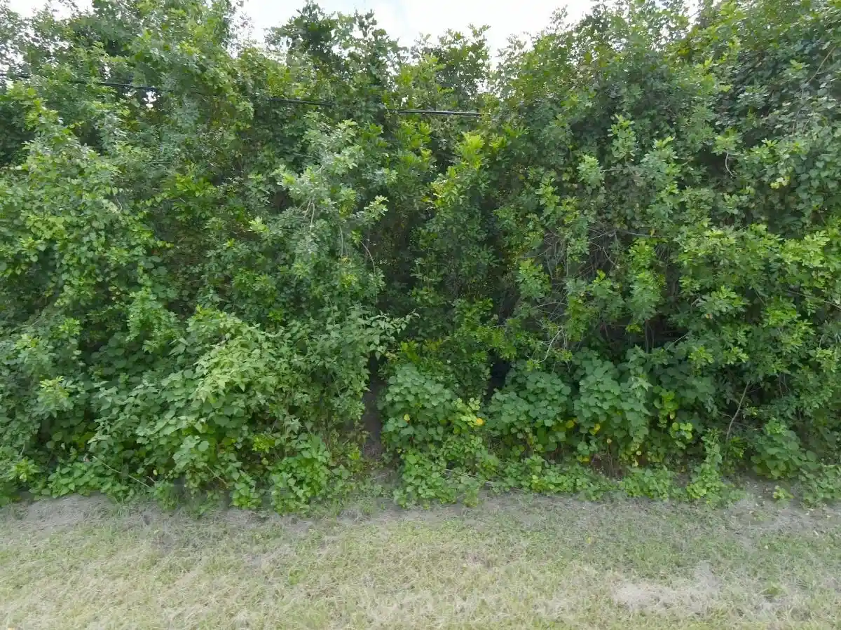 Photo 1 of Land for sale at 3025 Sw Collings Dr, Port Saint Lucie, FL 34953 | MLS# B26056750 | Listing updated on 2026-09-23