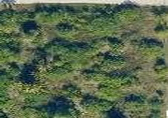 Photo 1 of Land for sale at 13074 71st Place N, West Palm Beach, FL 33412 | MLS# B26057252 | Listing updated on 2026-09-23