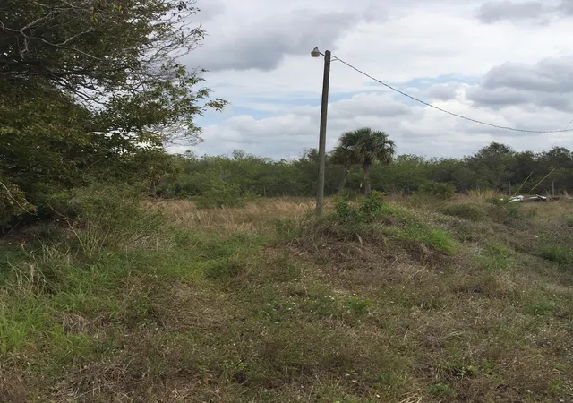 3rd image of 20636 Louise St, Loxahatchee, FL 33470 | MLS# B26057480