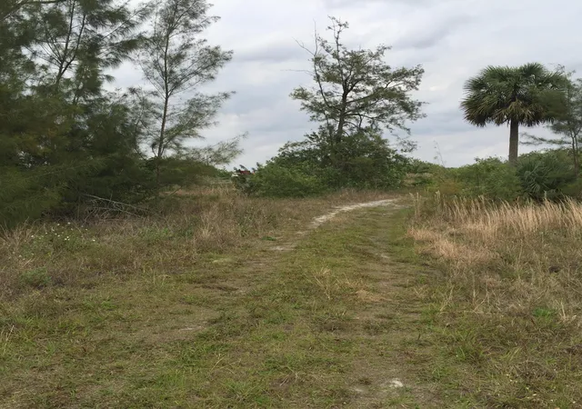4th image of 20636 Louise St, Loxahatchee, FL 33470 | MLS# B26057480