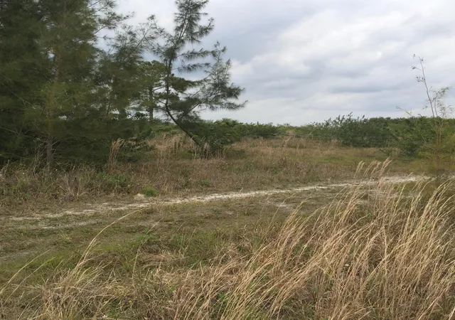 5th image of 20636 Louise St, Loxahatchee, FL 33470 | MLS# B26057480