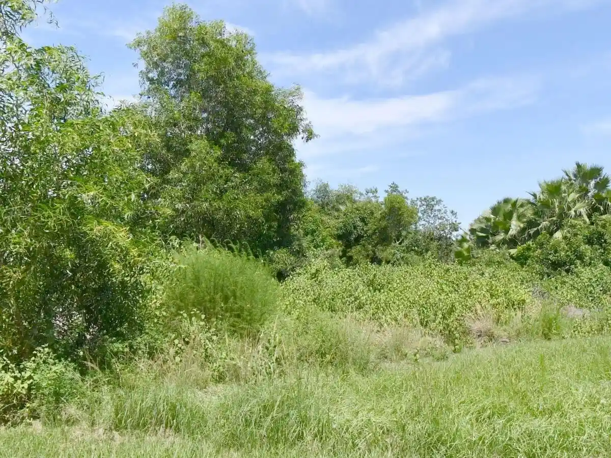 Photo 1 of Land for sale at 3080 Se Farley Rd, Port Saint Lucie, FL 34952 | MLS# B26058242 | Listing updated on 2026-09-23