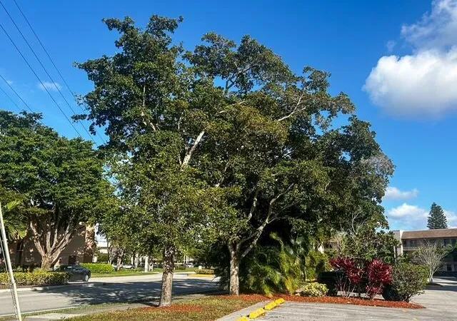 Photo 1 of Condo for sale at 10332 Sunrise Lakes Blvd #111, Sunrise, FL 33322 | MLS# B26059831 | Listing updated on 2026-10-04