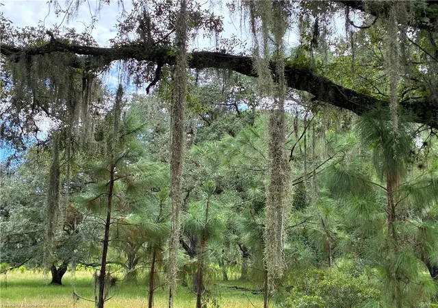 Photo 4 of House for sale at 0 Detjen's Dairy Rd, Venus, FL 33960 | MLS# B26064398 | Listing updated on 2026-09-25