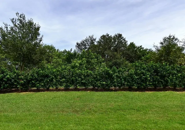 Photo 1 of Land for sale at 4341 Winding Pl, Fort Pierce, FL 34981 | MLS# B26065675 | Listing updated on 2026-09-23