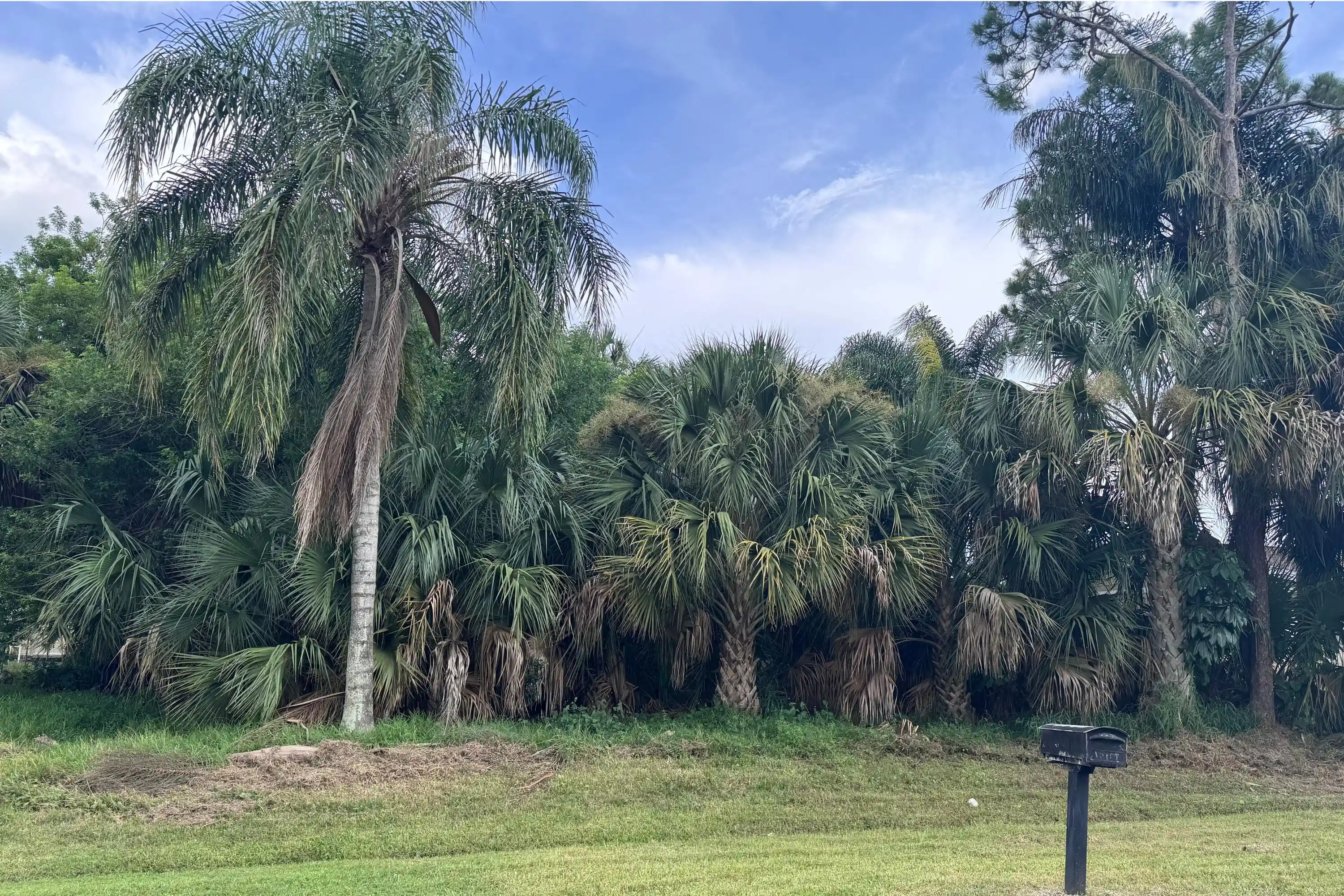 Photo 1 of Sale Pending at 908 Sw Bay State Rd, Port Saint Lucie, FL 34953 | MLS# B26066688 | Listing updated on 2026-10-19