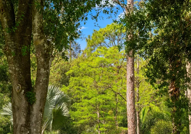 Photo 1 of Land for sale at Tbd F Rd, Loxahatchee Groves, FL 33470 | MLS# B26067940 | Listing updated on 2026-09-26