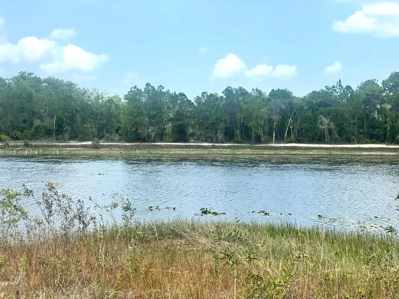 Photo 1 of Land for sale at 731 Joffre Pl, Lehigh Acres, FL 33974 | MLS# B26072681 | Listing updated on 2026-10-27