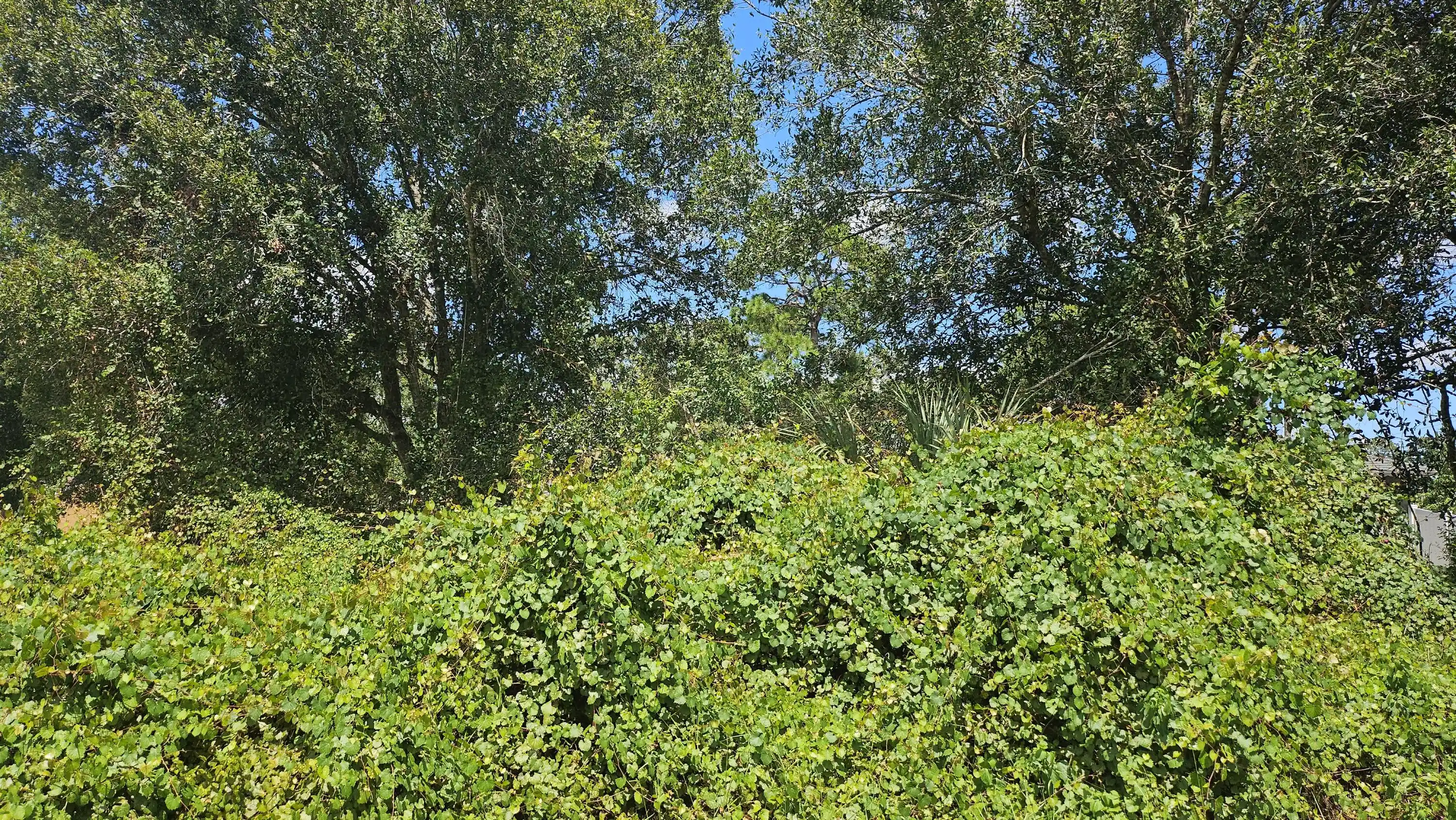 Photo 1 of Land for sale at 1785 Sw Day St, Port Saint Lucie, FL 34953 | MLS# B26074219 | Listing updated on 2026-10-23
