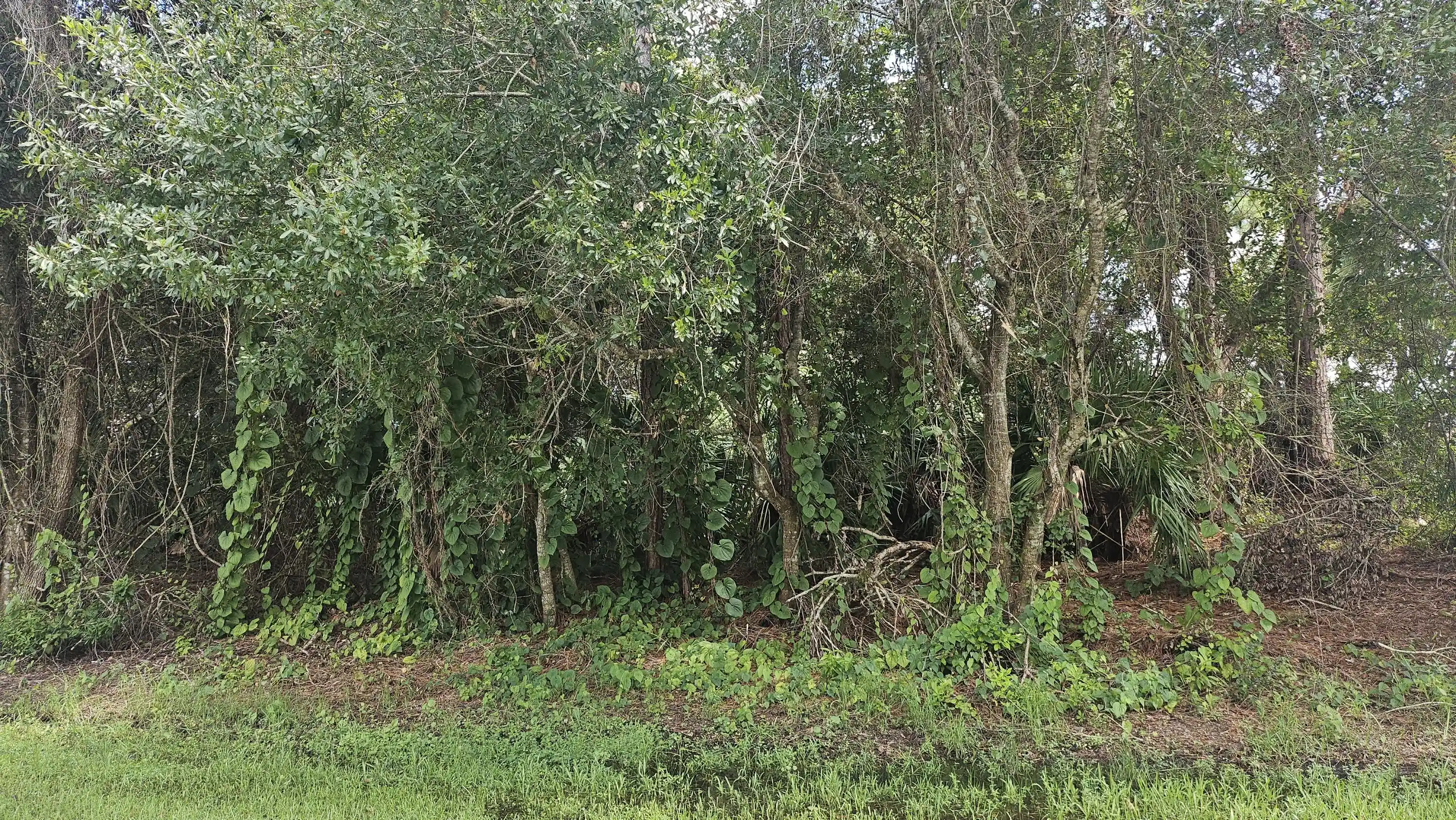 Photo 1 of Land for sale at 1757 Sw Day St, Port Saint Lucie, FL 34953 | MLS# B26074226 | Listing updated on 2026-10-23