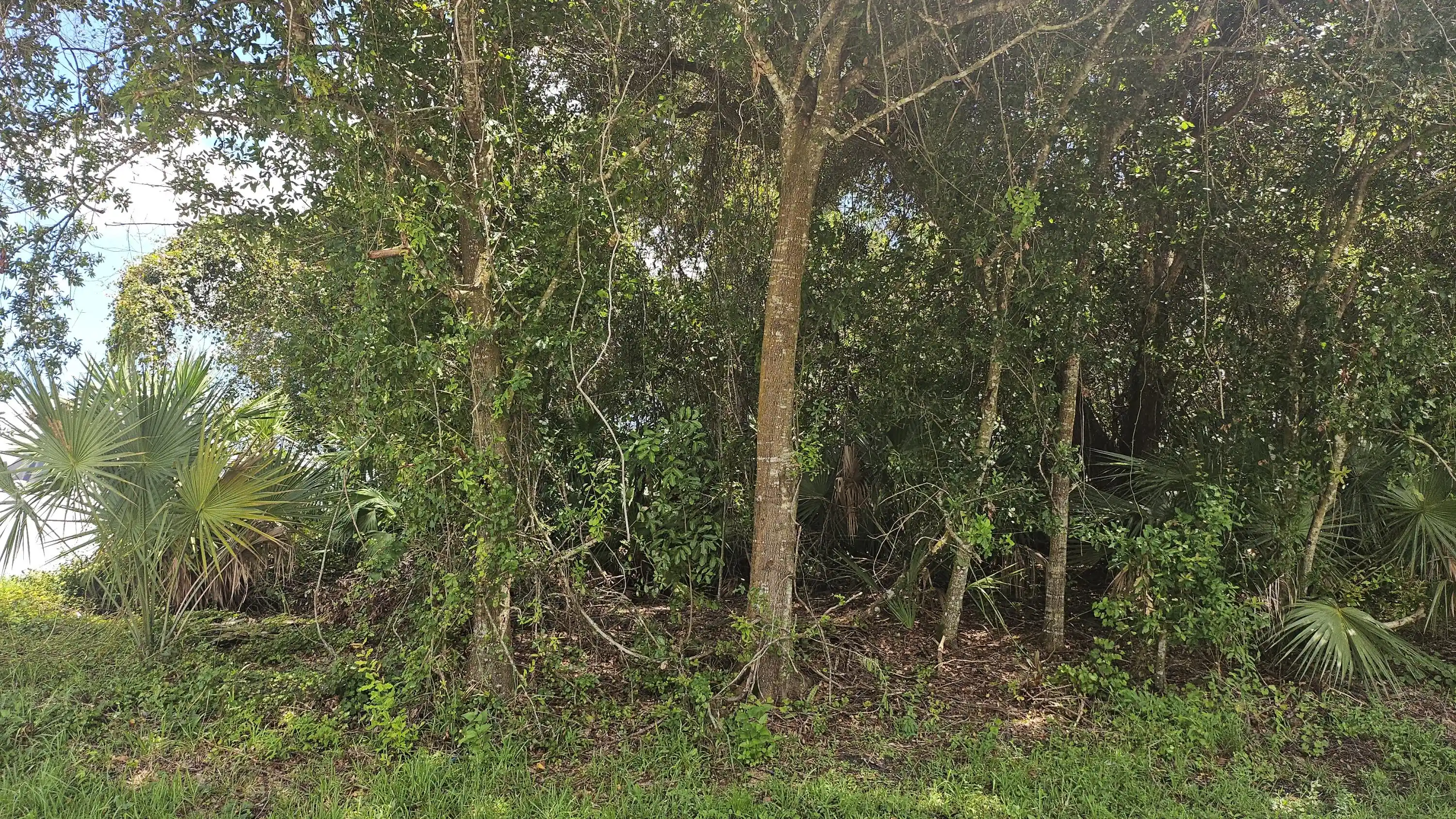 Photo 1 of Land for sale at 1743 Sw Day St, Port Saint Lucie, FL 34953 | MLS# B26074228 | Listing updated on 2026-10-23