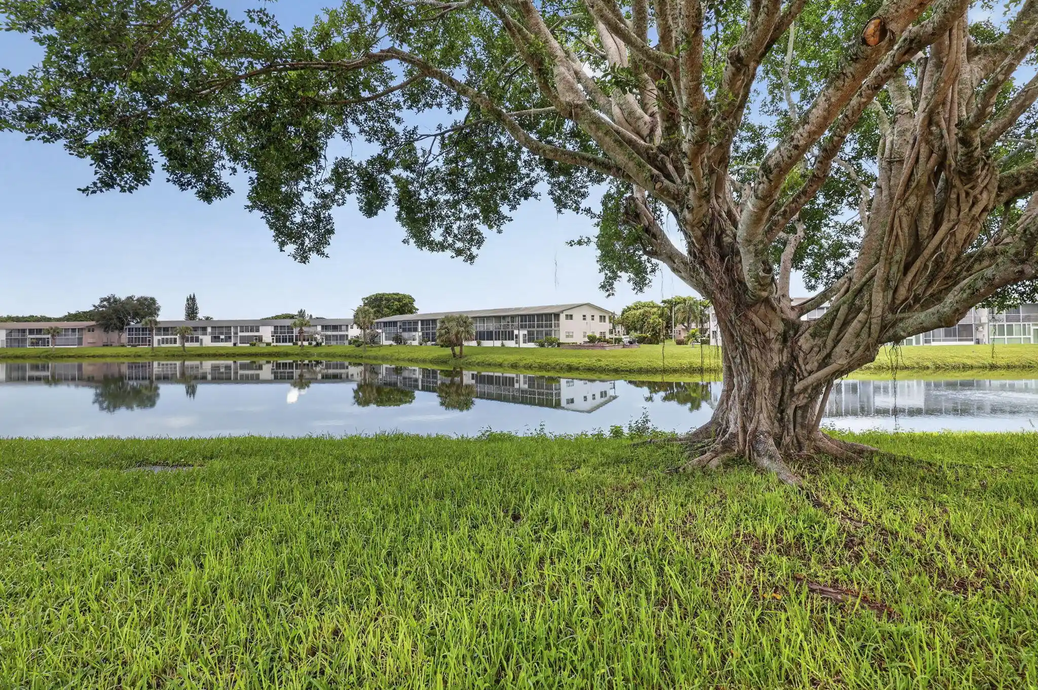 Photo 1 of Condo for sale at 79 Chatham D, West Palm Beach, FL 33417 | MLS# B26074636 | Listing updated on 2026-10-28
