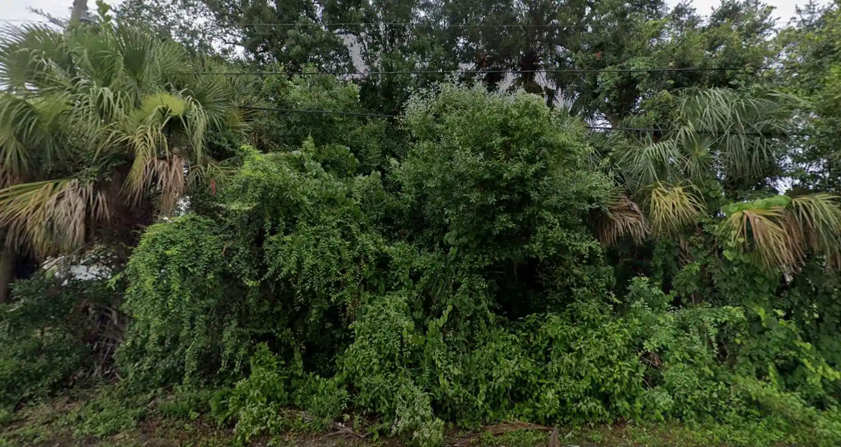 Photo 1 of Land for sale at 1638 Sw Ruiz Ter, Port Saint Lucie, FL 34953 | MLS# B26075038 | Listing updated on 2026-10-16