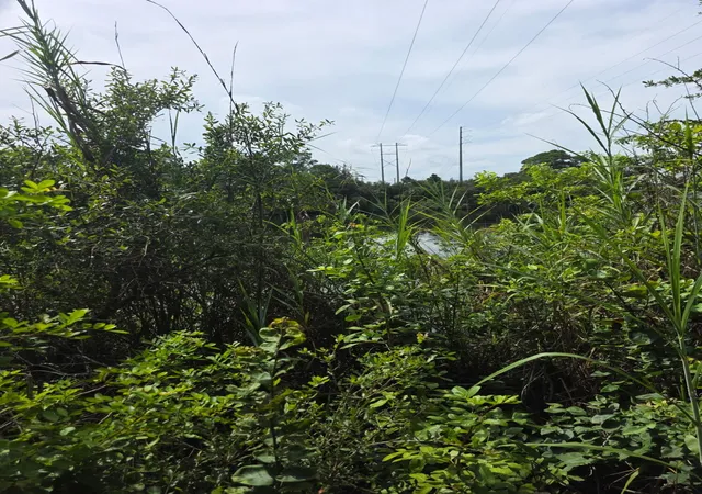 Photo 3 of Land for sale at 0 Sw Citrus St, Palm City, FL 34990 | MLS# B26080753 | Listing updated on 2026-10-09