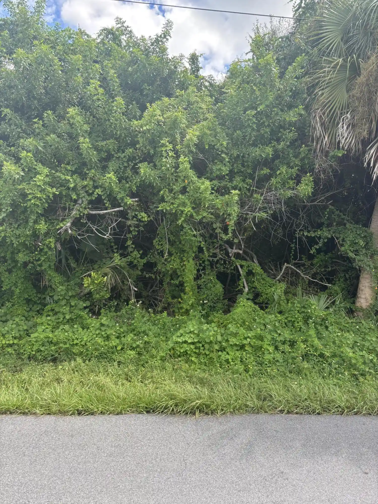 Photo 1 of Land for sale at 4211 Talheim St, Port Charlotte, FL 33948 | MLS# B26081093 | Listing updated on 2026-09-27