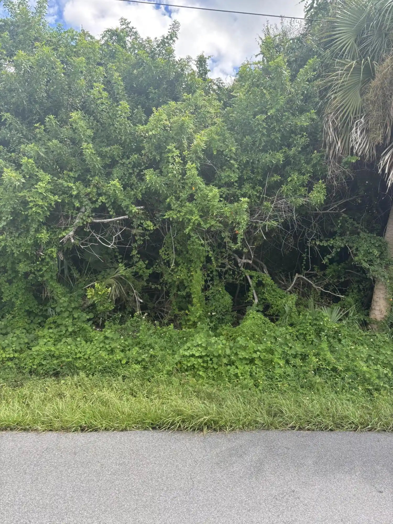 Photo 1 of Land for sale at 6294 Rosewood Dr, Englewood, FL 34224 | MLS# B26081101 | Listing updated on 2026-09-27