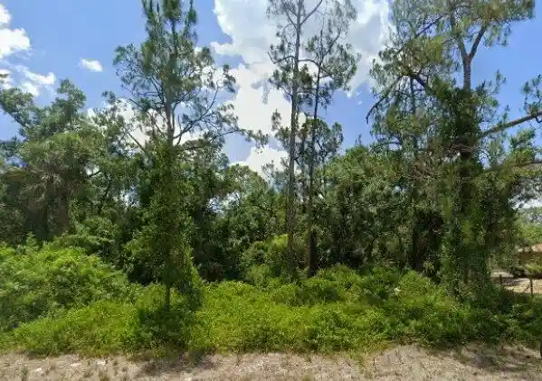 Photo 1 of Land for sale at 2117 Irving Ave, Alva, FL 33920 | MLS# B26081121 | Listing updated on 2026-09-27