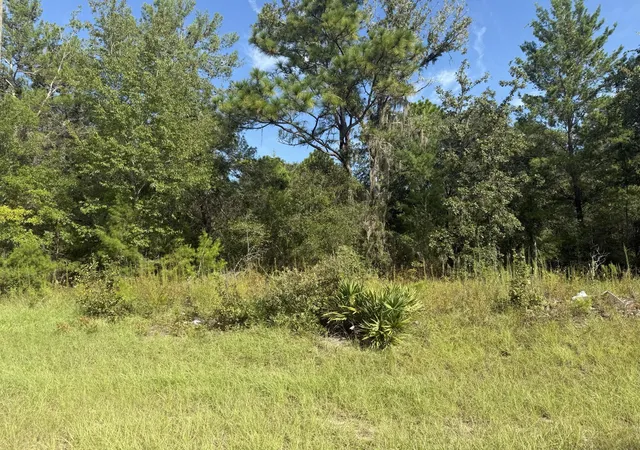 Land for sale at Tbd 79th Terrace Rd, Dunnellon, FL 34432 | MLS# B26081552