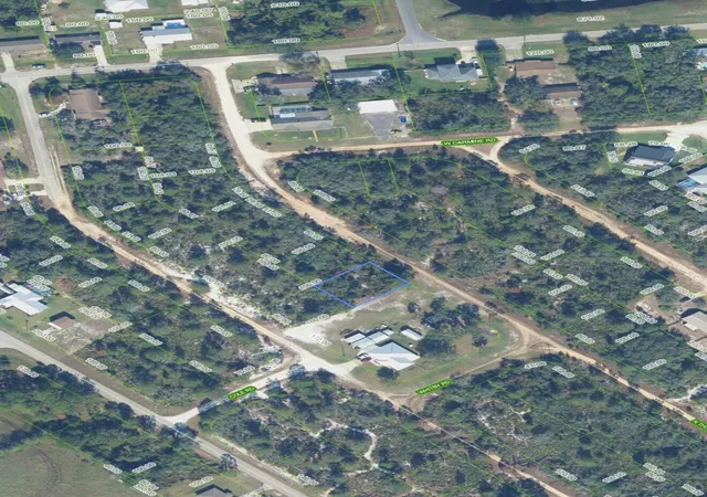 Land for sale at 2339 N Thomsen Rd, Avon Park, FL 33825 | MLS# B26083244