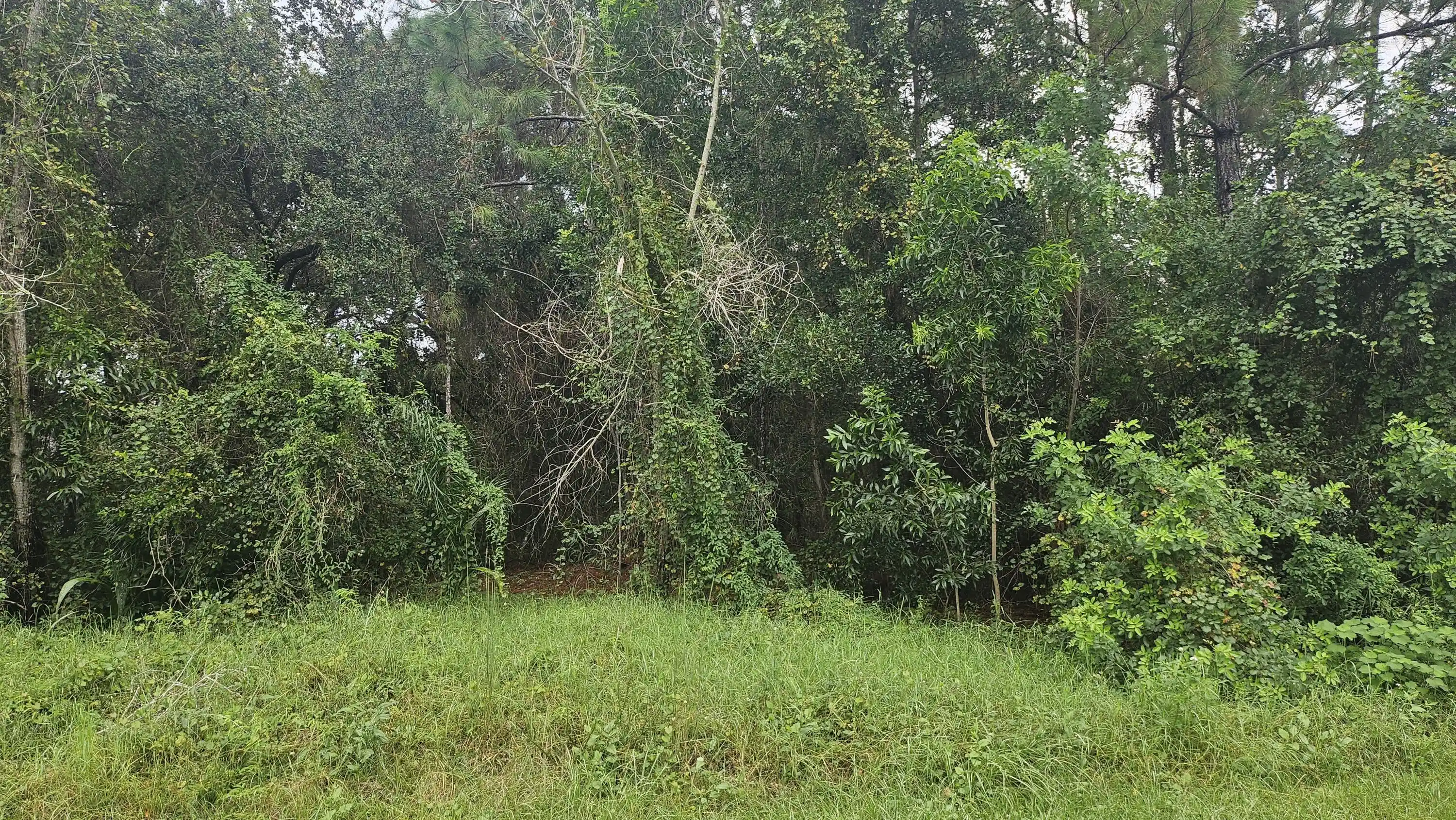 Land for sale at 5439 NW Thyer Cir, Port St Lucie, FL 34983 | MLS# B26083525