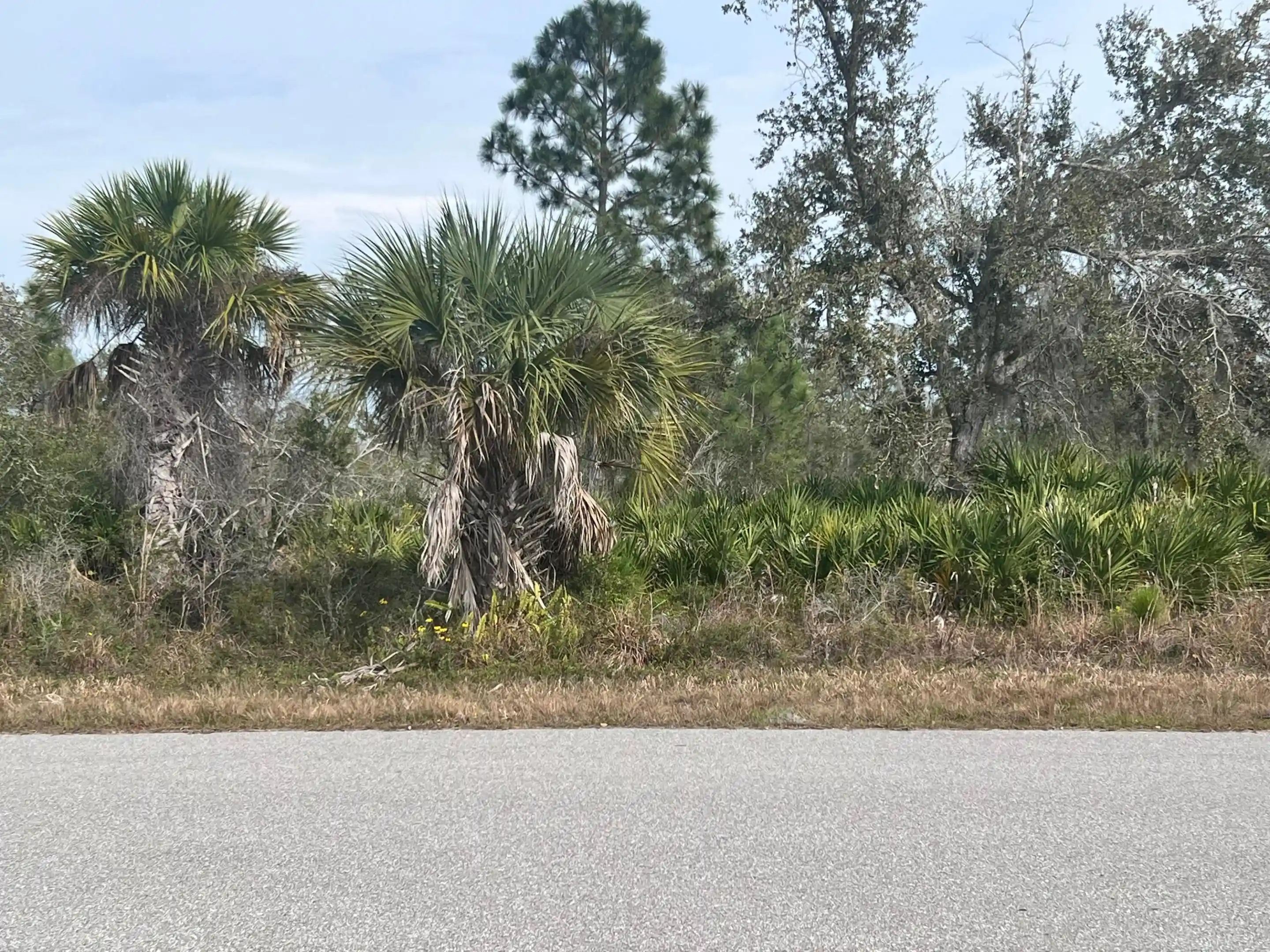 Photo 1 of Land for sale at 310 Halloran St, Port Charlotte, FL 33953 | MLS# B26083898 | Listing updated on 2026-10-03