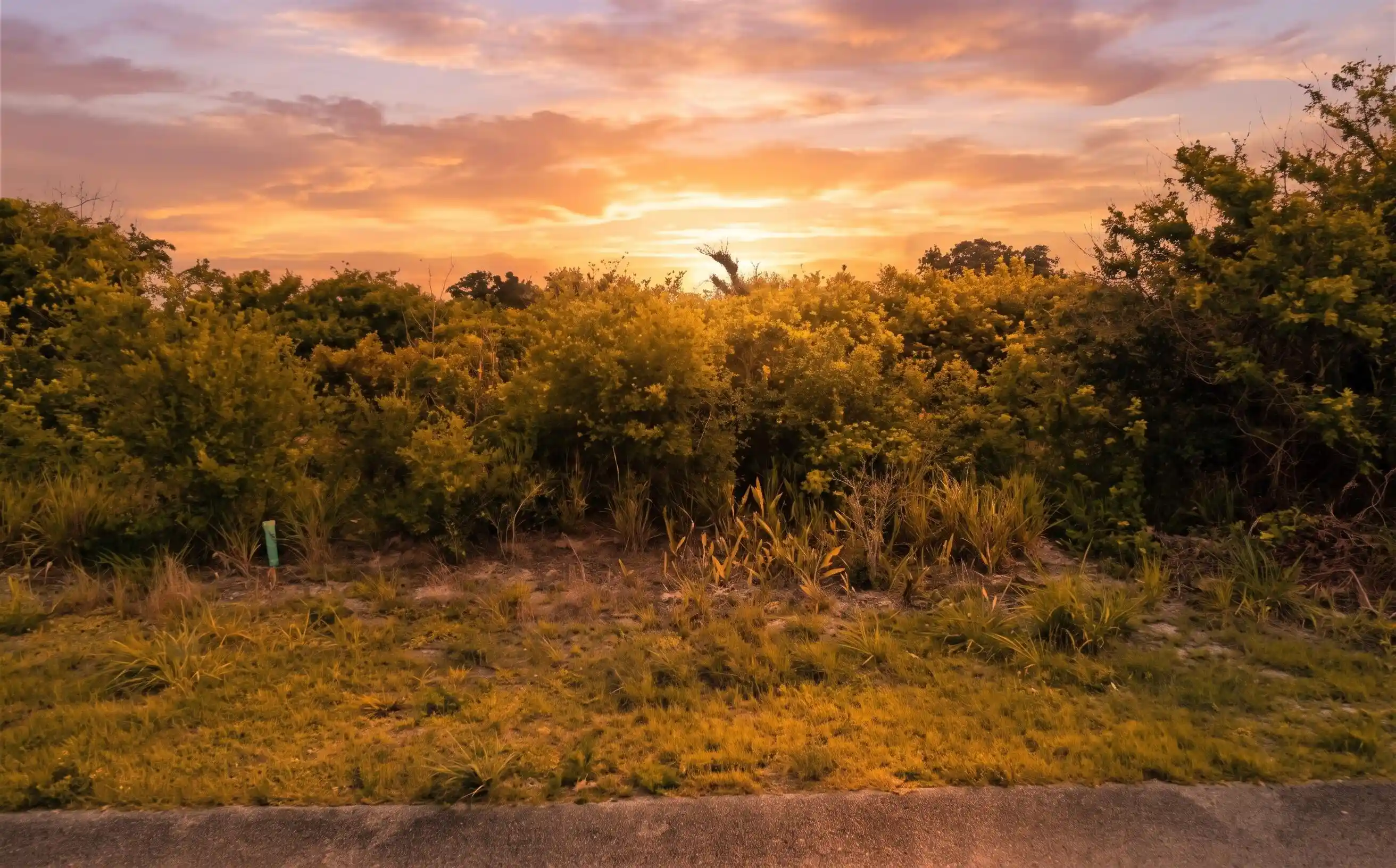 Photo 1 of Land for sale at 2416 42nd Street, Vero Beach, FL 32967 | MLS# B26086149 | Listing updated on 2026-10-15
