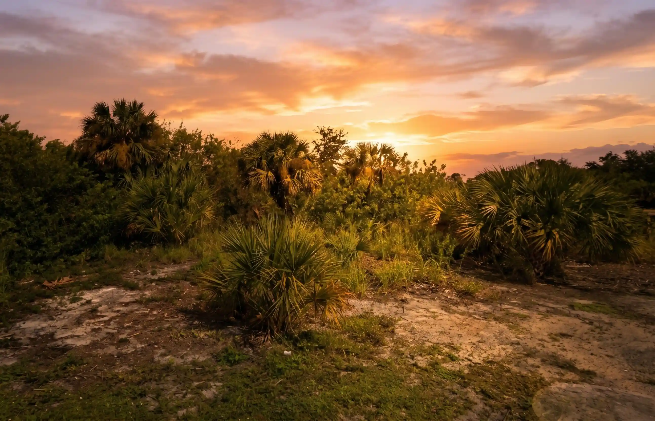 Photo 1 of Land for sale at 2290 42nd Street, Vero Beach, FL 32967 | MLS# B26086163 | Listing updated on 2026-10-21