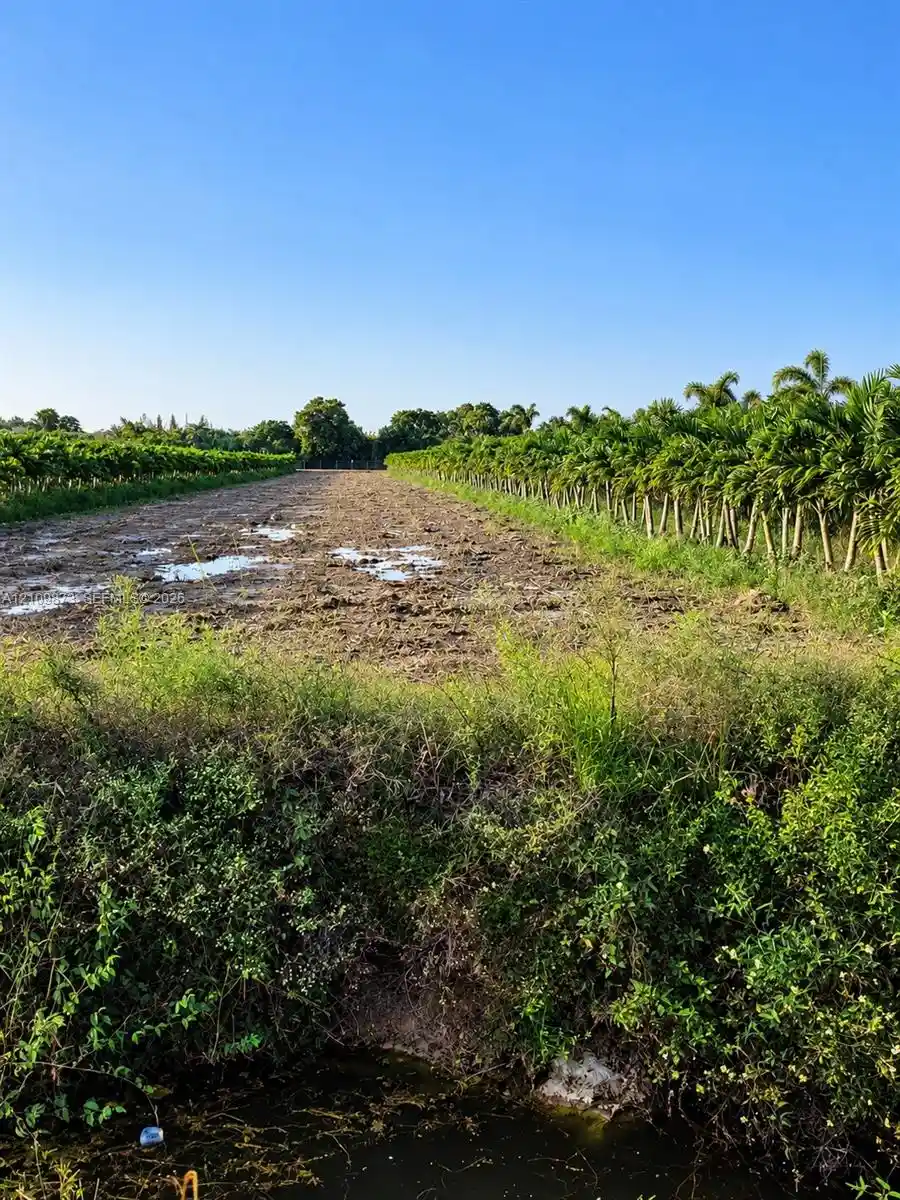 Land for sale at 117th Avenue, Homestead, FL 33033 | MLS# A12109873