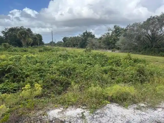 Land for sale at 16808 NW 290th Street, Okeechobee, FL 34972 | MLS# B26092094