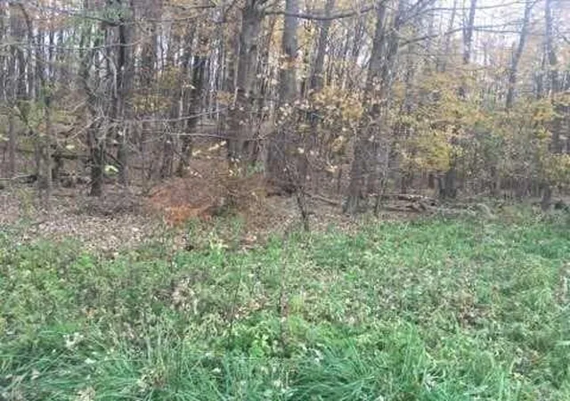 2nd image of 2452 Route 52, Hopewell Junction, NY 12533 | MLS# H6217545