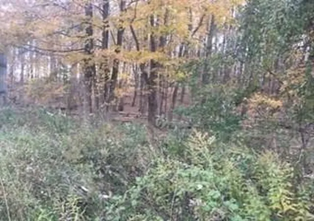 Photo 4 of Land for sale at 2452 Route 52, Hopewell Junction, NY 12533 | MLS# H6217545 | Listing updated on 2026-06-10