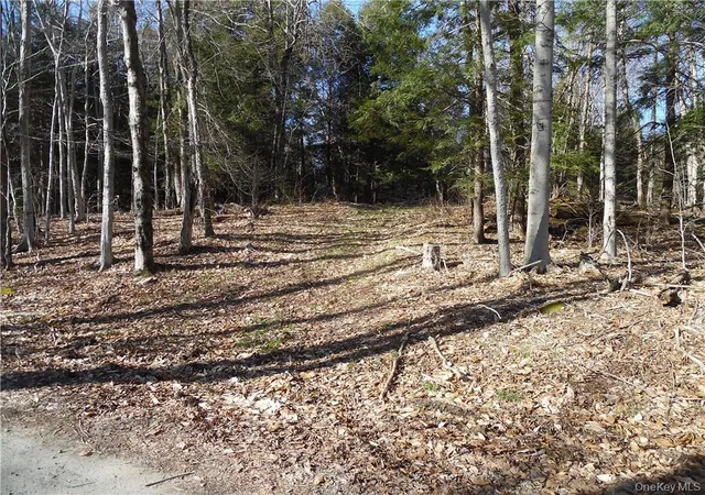 Photo 3 of Land for sale at 183 Revonah Hill Rd, Liberty, NY 12754 | MLS# H6227985 | Listing updated on 2026-04-17